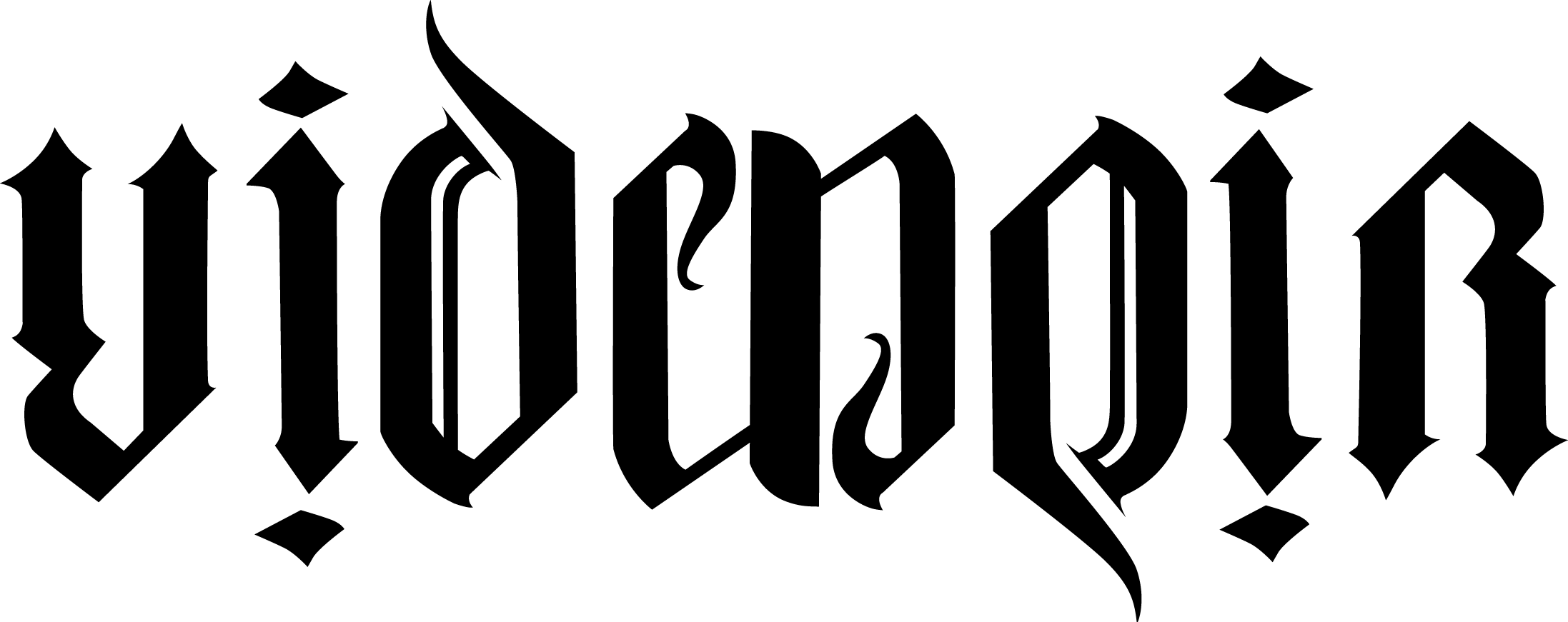 Videnoir logo